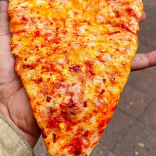 Plain cheese slices. $3/slice