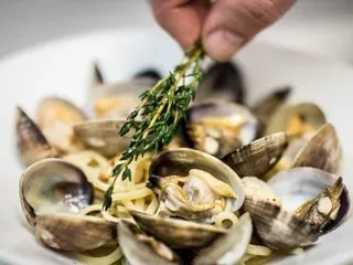 Cellini Italian Restaurant in Midtown Manhattan