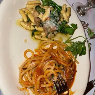 Bucatini all' Amatriciana and Cavatelli