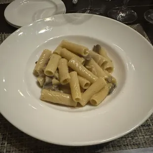 Spicy Mushroom Rigatoni