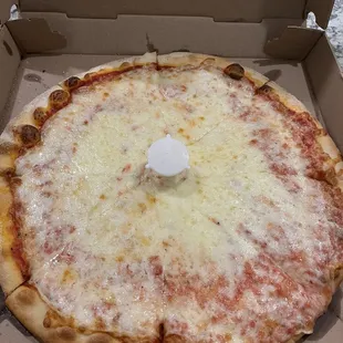 Medium Cheese Pizza