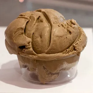 House made chocolate gelato.