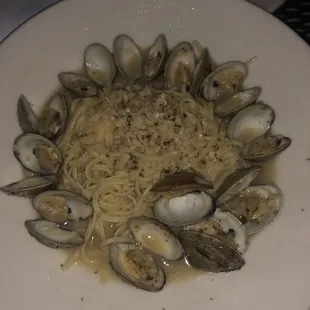 Clams in white sauce