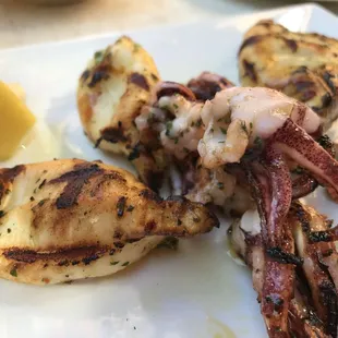 Grilled Calamari
