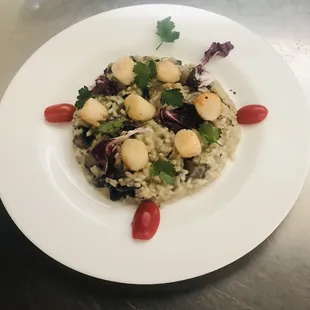 Scallop Risotto