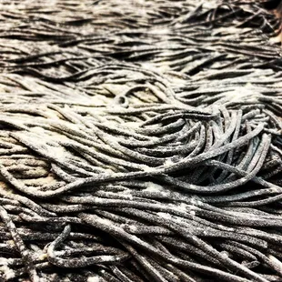 Homemade squid ink tagliolini