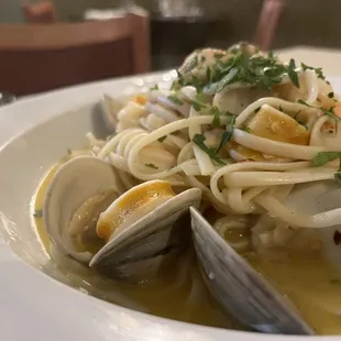 a plate of pasta with clams