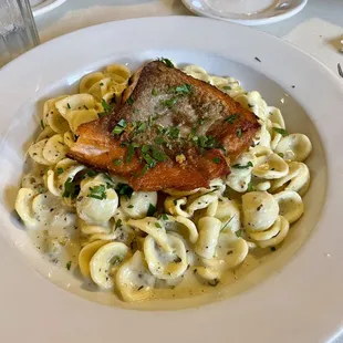 Orechiette with Gorgonzola and salmon