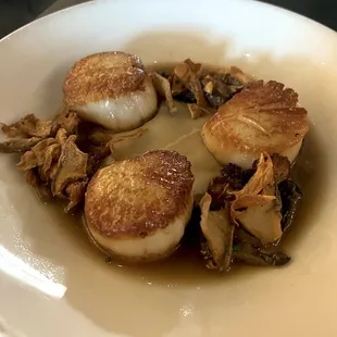 Seared Scallops