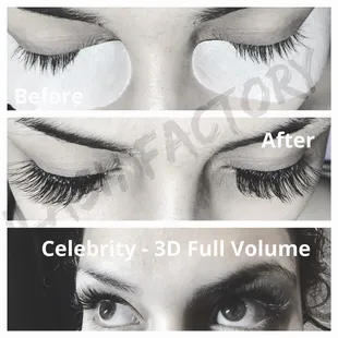 Celebrity 3D Full Volume