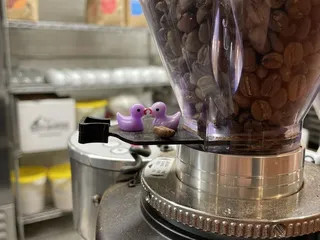 Porchlight Coffee Co