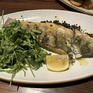 Mediterranean Grilled Striped Bass 'Bronzino'