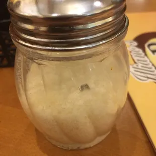 Fly in parmesan cheese