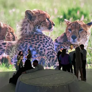 Illuminarium Las Vegas