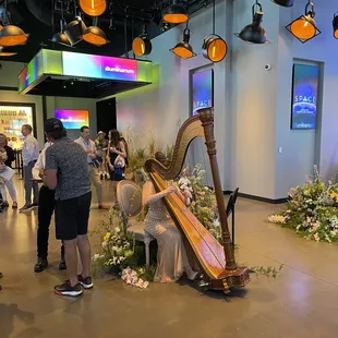 Harpist