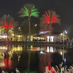 Christmas lights event