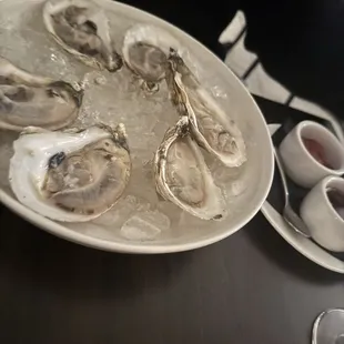 Oysters