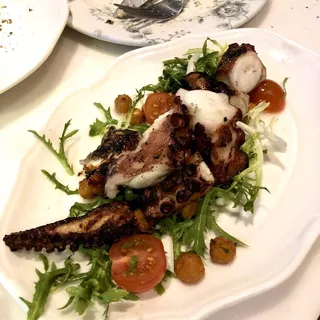 Octopus