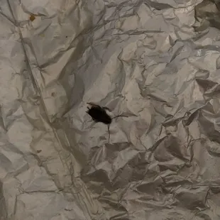 a bird on a piece of tin foil