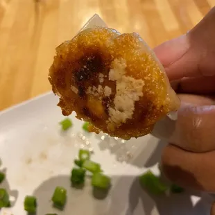 look at the crust on the dumpling, so good!
