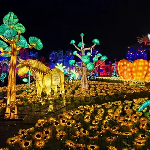 The most stunning light display ever