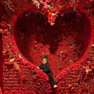 Photo opt background