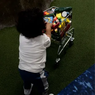 Shopping cart full of groceries