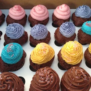 Mini Cupcakes