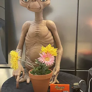 They have great props for events! If you rode your bike you would get free Reese's Pieces!