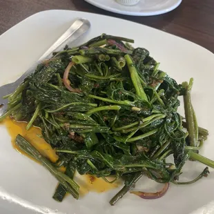Kang Kong