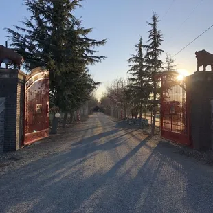 the entrance to the winery
