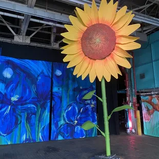 One of the many flowers as you enter the building