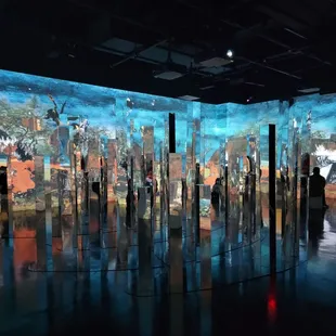 Slow down the motion and add narration about van gogh his life his art etc...way to fast to enjoy