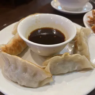 6 Piece Pan Fried Dumplings