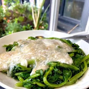 Pea Sprout with Scallops Sauce Dinner - pea sprouts were very tender this time, scallop sauce was delicious (04/2024)