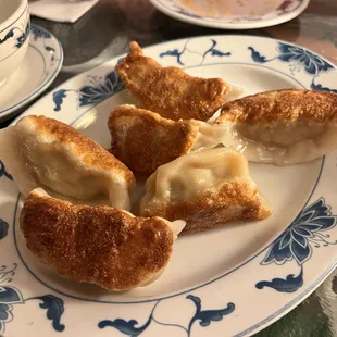 Fried Pork Dumplings