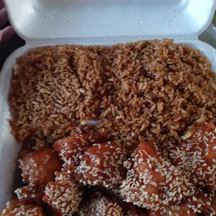 a container of rice and meat