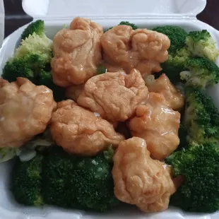 chicken and broccoli in a styrofoam container