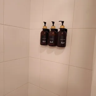 Toiletries in wall mounted pump bottles
