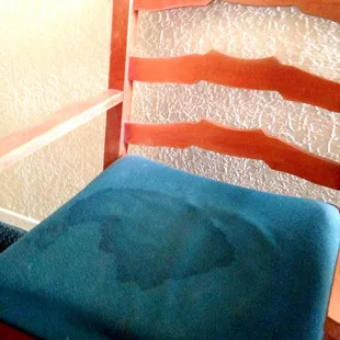 Bood stains on the sheets. What I hope to be piss stains on the chairs mold in the bathroom. Other then that it was great.