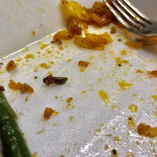 Bug discovered after scooping my leftover pepper chicken into another container.  Super!