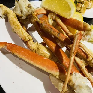 Snow Crab