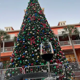 Celebration Christmas Tree and Imperium Wine Room wine!