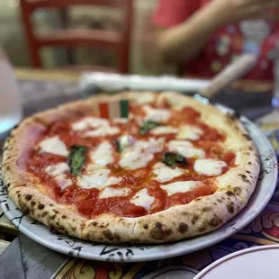 Margarita Pizza