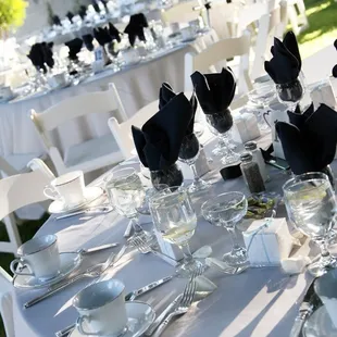 Tables, chairs, linens all your rental needs.