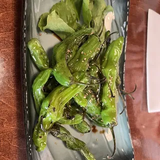 Shishito Pepper