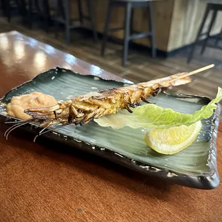 Red Snapper