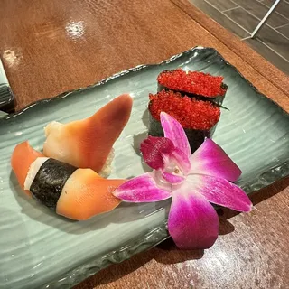 Surf Clam