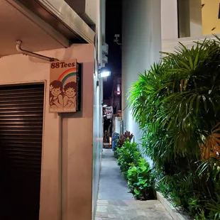 Alleyway of entrance in between 88 Tees and Prada, by Ginza Won