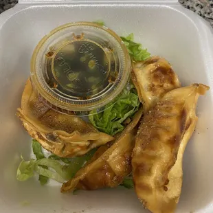 Gyoza was tasty but a little salty, ask for seasoning on the side. The dipping sauce was perfect.